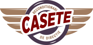 Reconditionari casete directie